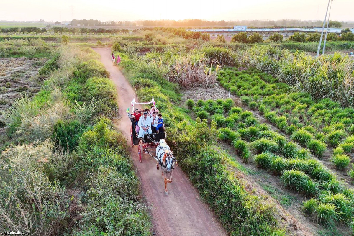 أجواء ريفية