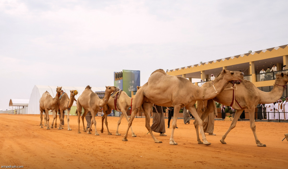 اليوم الرابع