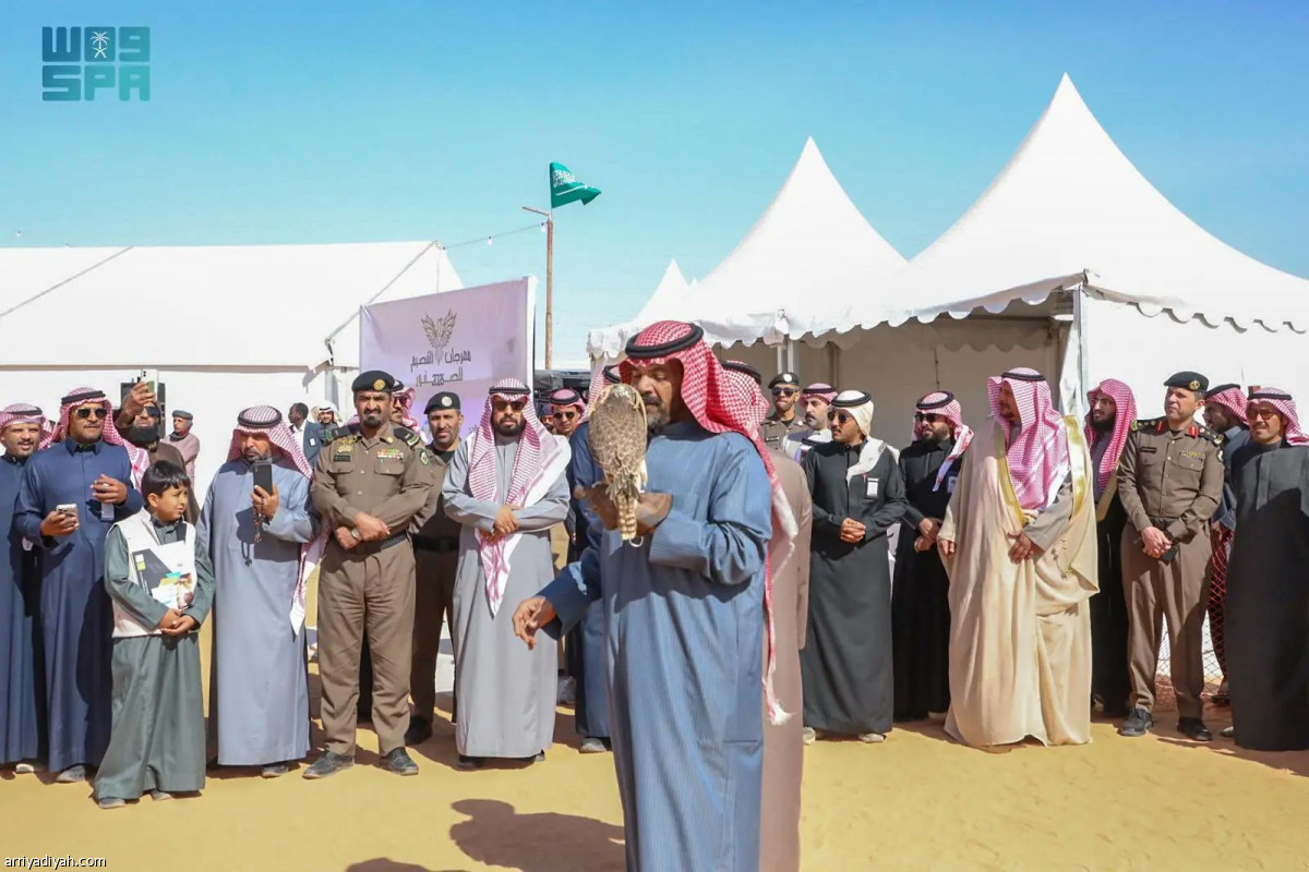 انطلاقة الصقور