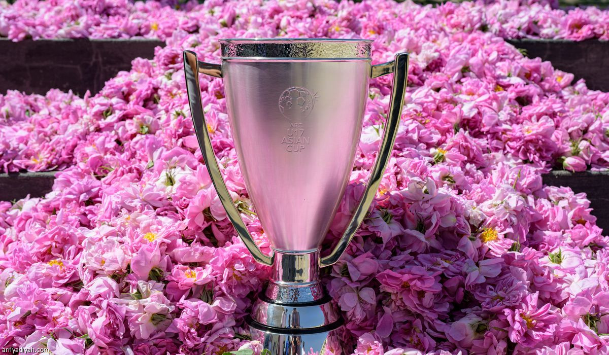 الكأس في «عروس المصايف»