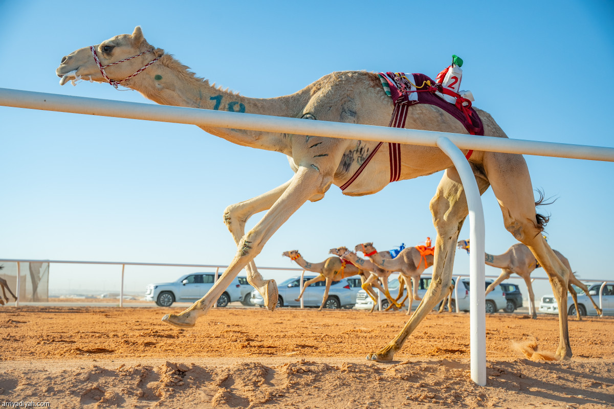 استمرار التحدي