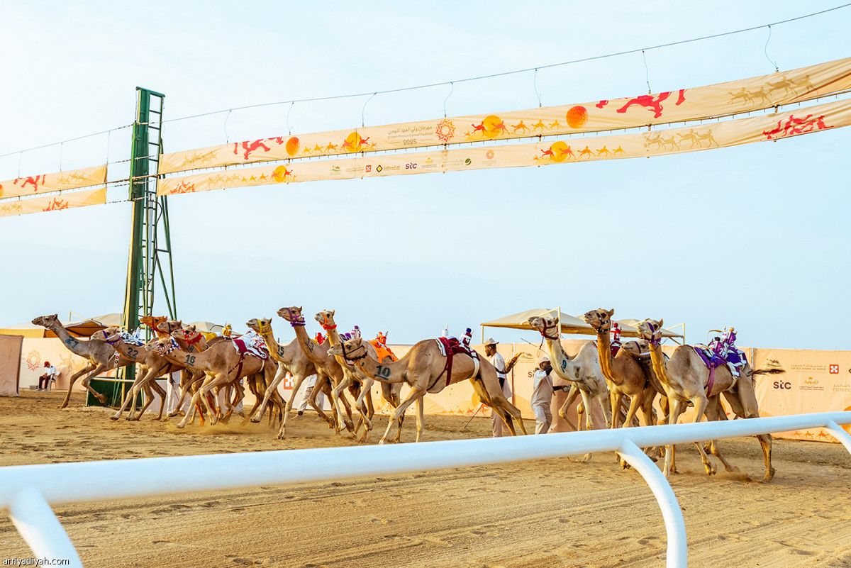 اليوم التاسع