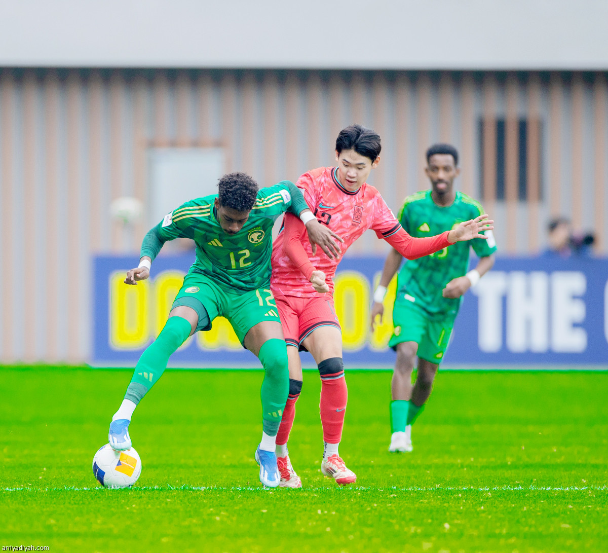 الصقور إلى النهائي