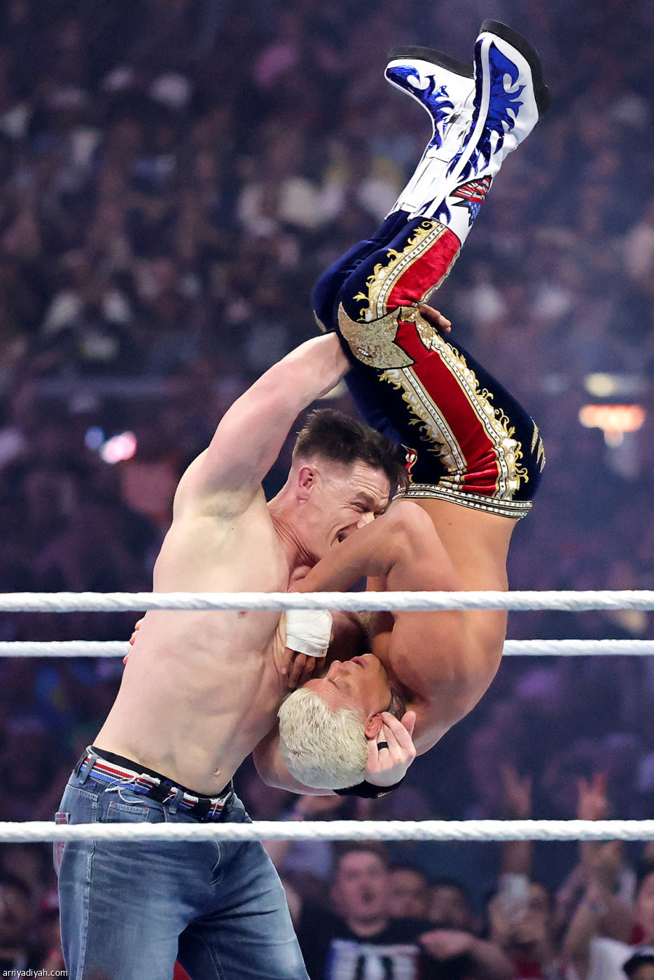 سينا.. الرقم القياسي